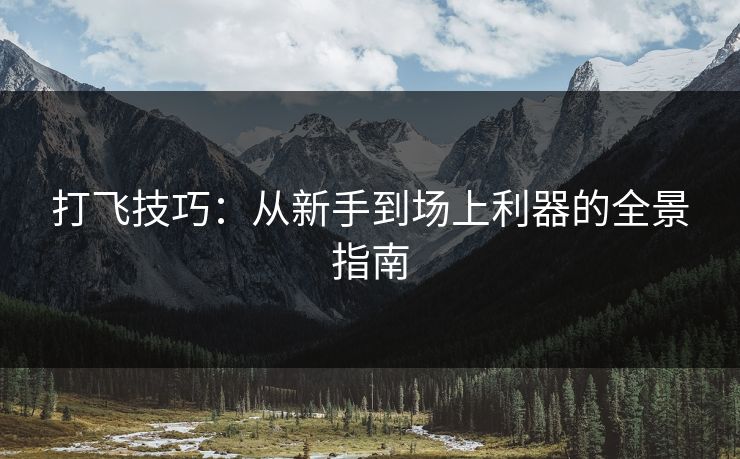 打飞技巧：从新手到场上利器的全景指南