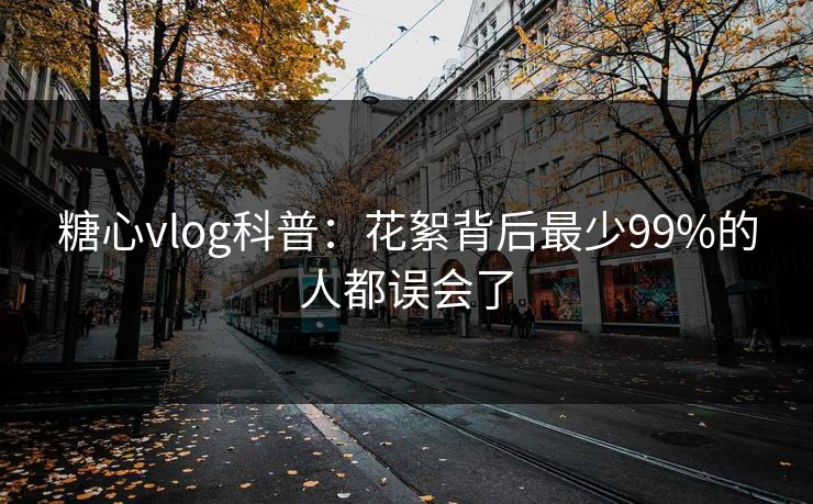 糖心vlog科普：花絮背后最少99%的人都误会了