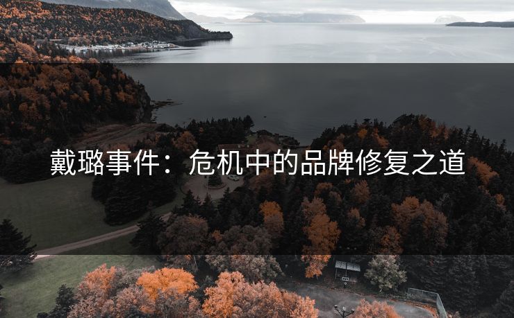 戴璐事件:危机中的品牌修复之道 戴璐事件:危机中的品牌修复之道