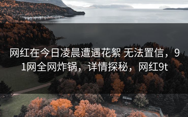 网红在今日凌晨遭遇花絮 无法置信，91网全网炸锅，详情探秘，网红9t